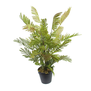 Levensechte Kunstmatige Plant Gepotte Hoge Kwaliteit Plant In Pot Plastic Mimosa Bonsai Voor Decoratie Bonsai Boom