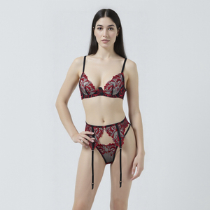 RTS Wholesale Sexy Embroidery <strong>Bra</strong> &amp; Brief Set Custom Underwire Sheer Sexy Lace <strong>Bra</strong> and Panties - Product Image 6