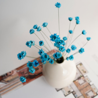 Bouquet de fleurs séchées éternelles DIY - Mini marguerites étoilées brésiliennes écologiques longue durée pour la maison, la Saint-Valentin et Noël