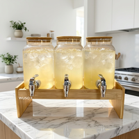 Wuso – Bouilloire en verre borosilicate classique, jetable, résistante à la chaleur, écologique, sécurisée pour l'eau bouillante, avec couvercle