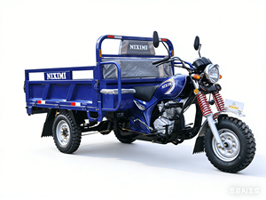 รถสามล้อบรรทุกหนัก NIXIMI 200CC CG200 สำหรับตลาดแอฟริกา รับน้ำหนักได้ 1000 กก. รถจักรยานยนต์สามล้อ NIXIMI - Product Image 2