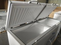 Tout Nouveau Congélateur Coffre Commercial à 2 Portes de 418 Litres, 220V, Monotempérature, pour Usage Domestique et Stockage de Viande