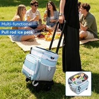 Sac isotherme rembourré avec poignée de transport et compartiment pour glaçons, idéal pour les voyages et les pique-niques, sac portable résistant à l'eau