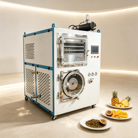 Multifunctionele vacuümvriesdroger voor fruitchips, bessen, groenteverwerking, industriële lyofilisatie droogmachine