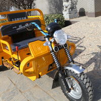 Tricycle à essence pliable avec boîte de chargement, logo personnalisable, Aboboyaa, pour la vente ambulante et le transport