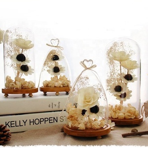 Tabletop Centerpiece Cloche Bell Jar Display Case Natural Wooden Base Decorative Clear Glass Dome with LED Lights Eco-friendly