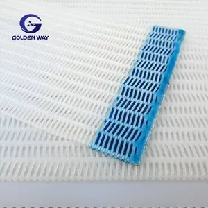 Hot Sale Polyester Fabrics Spiral Dryer Mesh Belt For Paper Machine Clothing