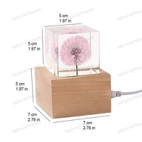 Lampe de nuit en résine de pissenlit préservé, personnalisée en usine, avec spécimen floral fait main, gravure laser du logo, cadeau souvenir