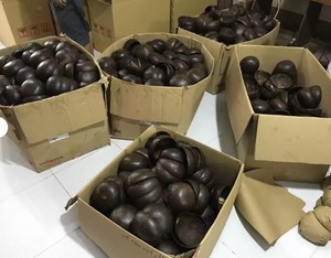 Bol ovale en coque de noix de coco durable, fait à la main, écologique, naturel, pour servir, vaisselle de cuisine, en vrac - Product Image 1