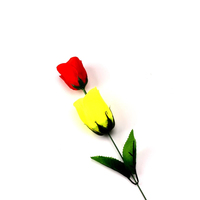 Roses décolorées (rouge change en jaune) Trucs de magie avec les roses Changement de couleur des roses pour la Saint-Valentin Trucs de magie avec les fleurs Jouets amusants