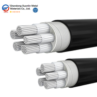 Kabel Daya XLPE Berlapis Baja 3 Inti + 2 Inti Aluminium 3 Fasa Dengan Kawat Netral dan Kawat Pembumian 3*16 50 70 95mm2 untuk Pabrik Pengisi Daya EV