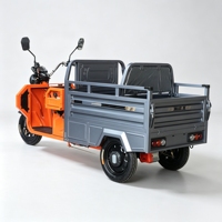 Véhicule électrique à 3 roues, 1200W de puissance, design pliable, tricycle électrique à double usage avec frein à tambour de 160 mm pour le transport rural