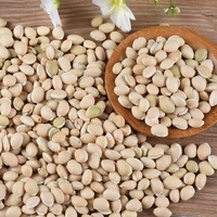 Haricot blanc naturel séché sans soufre, 100 % naturel, sûr et comestible, base pour superaliments végétaliens sans gluten, Bai Bian Dou