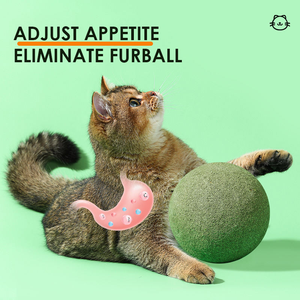 Jouet à lécher pour chat en herbe à chat fraîche personnalisée, fruit de la galle de chat, vigne argentée, balle à lécher pour chaton, jouet pour chat - Product Image 4