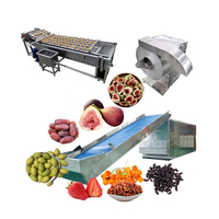Déshydrateur alimentaire industriel, machine de séchage pour figues, baies, bleuets, prunes, pruneaux, fraises, fruits secs
