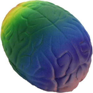 Hot Sales Rainbow Brain Pu Stress Relievers Stress <b>Toy</b> Stress <b>Ball</b> - Product Image 3