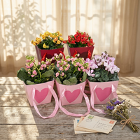 Sac de transport en papier/plastique écologique avec poignée, motif cœur, pour bouquets, centres commerciaux, Saint-Valentin