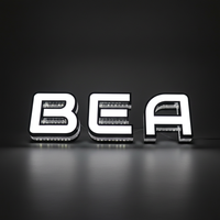Letrero LED Personalizado de Acero Inoxidable con Orificios Laterales, Letras con Luz Blanca Fría 3D, Decoración de Logotipo Comercial para Montaje en Pared Interior y Exterior