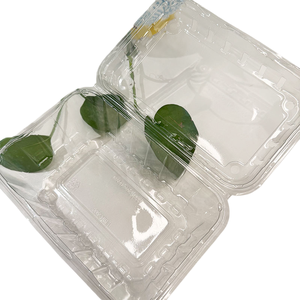 Bandeja de Plástico PP Desechable para Alimentos, Envase Tipo Blíster, Bandejas de PP para Alimentos, Carne Congelada, Envase MAP - Product Image 5