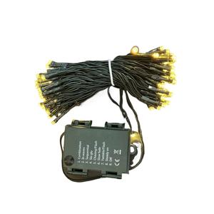 Guirnalda de Luces LED con Caja de Batería, 3AA, IP67, Impermeable, Blanco Cálido, para Decoración de Jardín y Festivales, con Certificación CE, Regulable, Suministro Directo Transfronterizo - Product Image 4