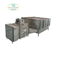 Aangepaste roestvrijstalen 100kg/u 304 commerciële voedseldroogmachine voor gember-knoflookfabriek, inclusief after-sales ondersteuning