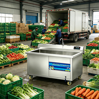 Groentewasser voor snackfabriek |   Chemisch vrij |   Natuurlijke ozontechnologie |   Gemotoriseerd |   220V 3KW