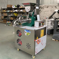 Machine à pâtes électrique automatique pour nouilles de maïs, macaroni, ramen frais, udon et nouilles de riz