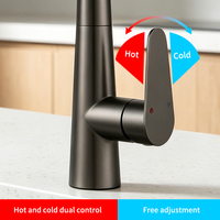 Robinet de cuisine moderne en acier inoxydable à montage sur plan avec eau chaude/froide et poignée unique pour usage domestique et hôtelier
