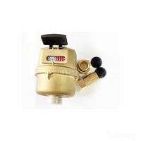 1/2 Inch Brass Body Volumetric Piston Water Meter