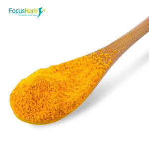 FocusHerb pigmento natural curcumina en polvo Extracto de raíz de cúrcuma 95% curcumina - Product Image 2