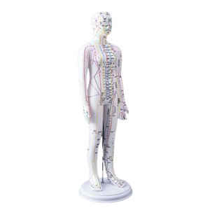 टीसेमी शिक्षा के लिए सुई सम्मिलन बिंदु सतह के साथ उन्नत रंग-कोडित मेरिडियन लाइन एक्यूपंक्चर प्रशिक्षण मॉडल - Product Image 3