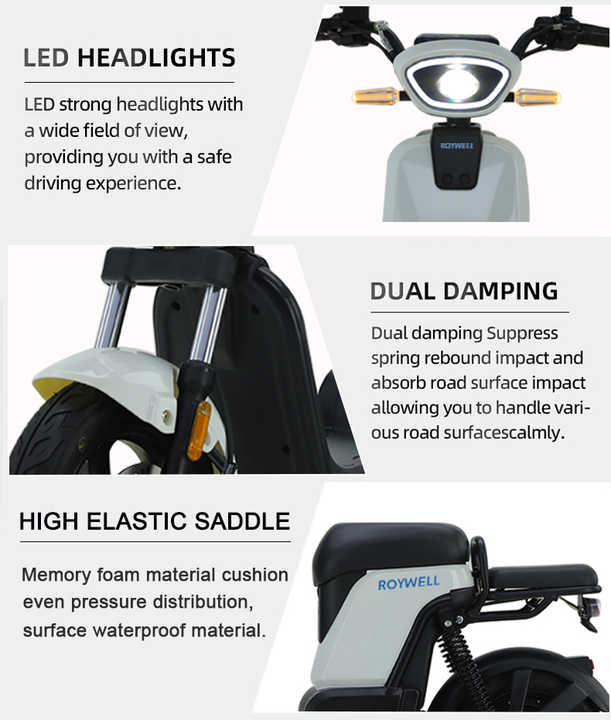 Electric Bike With Passenger Seat for Adults: The Ultimate Guide to ...