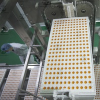 Moule à amidon (machine à bonbons) automatique, ligne de production de bonbons gélifiés