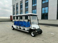 Voiturette de golf électrique à batterie lithium, équipée d'un moteur AC et d'une charge rapide