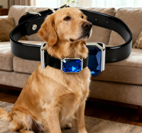 Collier pour chien avec boucle en métal, cuir noir, pierre bleue, GPS, autonomie de 3 ans, suivi en temps réel, étanche