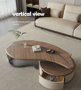 Ensemble <span class=keywords><strong>table</strong></span> <span class=keywords><strong>basse</strong></span> et meuble TV <span class=keywords><strong>en</strong></span> bois, style moderne et luxueux, avec tiroir de rangement, meubles de salon - Product Image 6