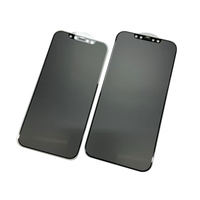 Protecteur d'écran de haute qualité pour iPhone 11 12 13 14 15 16 Pro Max Matte Plating Privacy Plus Film de verre trempé avec 9h