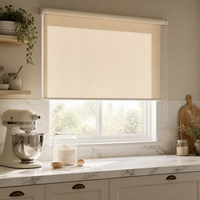 Stores à enroulement modernes en tissu uni, à commande manuelle par chaîne latérale, filtrant la lumière, faciles à installer pour la maison, le bureau et la cuisine