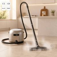 Nettoyeur Vapeur Eau Électrique Portable CE Populaire pour la Maison, Nettoyage de Canapés, Tapis et Moquettes (Humide/Sec)