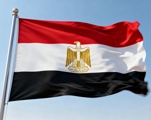 Vlag Fabrikant Relatiegeschenk Reclame Vlag Maatwerk 3X5 Voet Custom Vlag Bedrijfsevenement Alle Nationale Vlaggen - Product Image 5