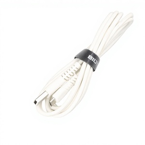<span class=keywords><strong>USB</strong></span>-кабель для зарядки, шнур питания постоянного тока для сенсорной камеры, разъемы типа «папа»/«мама», модель PH2 - Product Image 1