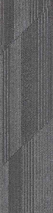 Gris6