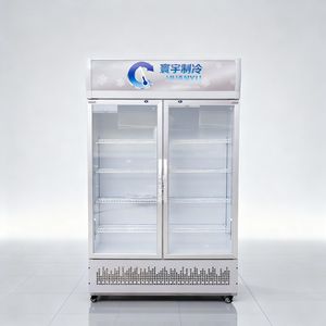 Refrigerador Comercial para Supermercados, Refrigerador <span class=keywords><strong>de</strong></span> Exhibición con Enfriamiento por Aire para Bebidas, <span class=keywords><strong>CocaCola</strong></span>, Pepsi, Otras Bebidas, Uso en Tiendas <span class=keywords><strong>de</strong></span> Helados - Product Image 6