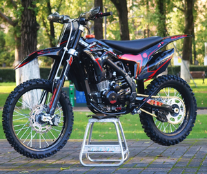 Bosuer 2025, dos tubos de <span class=keywords><strong>escape</strong></span> duales, dos tubos de <span class=keywords><strong>escape</strong></span> duales, 300cc, motocicleta, moto de cross, eje de equilibrio del motor, portaequipajes y faro - Product Image 1