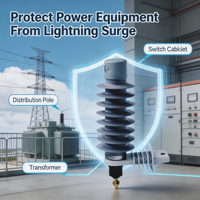 Parafoudre extérieur en caoutchouc silicone 9 kV de haute qualité avec varistance à oxyde métallique pour la mise à la terre de la transmission électrique
