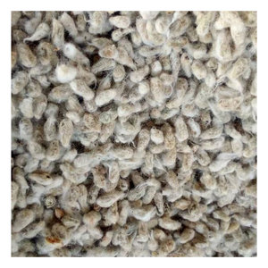 Graines de coton entières de qualité supérieure, polyvalentes, pour l'alimentation animale et l'agriculture, en vente - Product Image 1