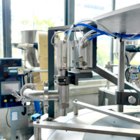 Machine de remplissage et de scellage de sachets à bec verseur 180ml 250ml 280ml pour liquides, gelées, jus d'orange et sauces