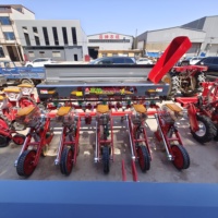 Série 2BYZFD Semoir à maïs à 5 rangs avec boîte de vitesses principale / Semoir à maïs / Machine à semer plusieurs céréales / Semoir à haricots / Semoir à engrais et à maïs