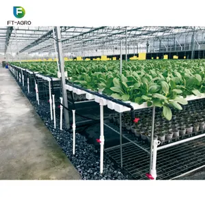 Leafy vegetal hidropônico sistemas de cultivo, tubos de plantio de pvc grau alimentar