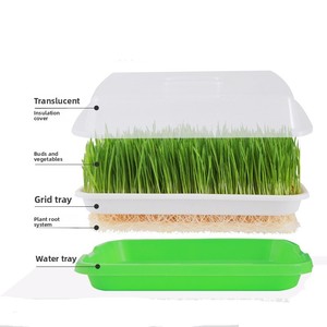 Bandejas de Siembra de Plástico Ecológicas Cuadradas/Rectangulares <span class=keywords><strong>para</strong></span> Plantar <span class=keywords><strong>Semillas</strong></span>, Germinación de <span class=keywords><strong>Trigo</strong></span> Mung, Germinación Hidropónica sin Tierra - Product Image 4
